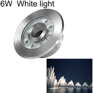 6W landschap ring LED roestvrijstaal onderwater fontein licht (wit licht)