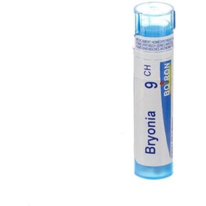 Tandzijdehouder - Tweetandige Vork - Inclusief Reservedraad