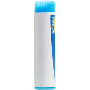 Boiron Arnica montana 1MK Globulen 1 stuks
