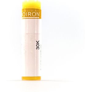 Boiron Arnica Montana 30K Globulen 1 stuks