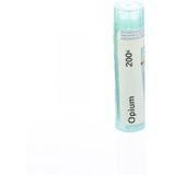 Solidea - Cavigliera NERA - Enkelsteun - 23/32 mmHg