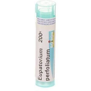 Boiron Eupatorium Perfoliatum 200K Granulen 1 stuks