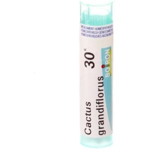 Boiron Natrium Sulfuricum 30K Granulen 1 stuks