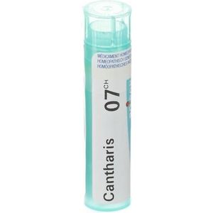 Boiron Cantharis 7CH Granulaat 1 stuks