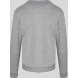 Sweater met lange mouwen en ronde hals 9024130 heren