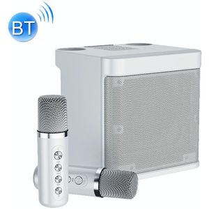 YS-203 Bluetooth Karaoke Luidspreker Draadloze Microfoon