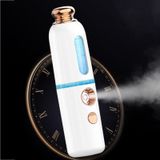 Facial Steamer Nano Spray Water aanvulling instrument draagbare koude spray machine opladen Beauty Instrument Automatische Alcohol Sprayer  Style: Crown (Wit)