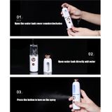 Facial Steamer Nano Spray Water aanvulling instrument draagbare koude spray machine opladen Beauty Instrument Automatische Alcohol Sprayer  Style: Crown (Wit)