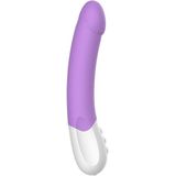 Vibrator Liebe Exciter Paars