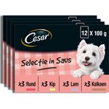 Cesar Hondenvoer - Mix Selectie in Saus - Maaltijdzakjes - 48x100g