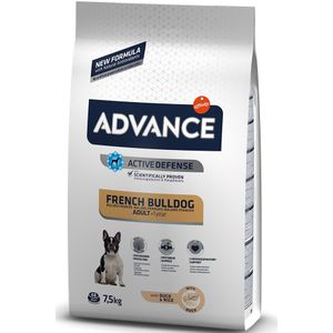 Advance Adult French Bulldog