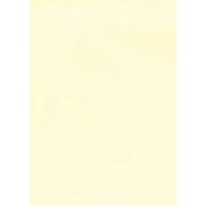 Apli 012369 100 vellen A4-papier, 100 g, crèmekleurig
