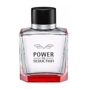 Antonio Banderas Power Of Seduction Eau de Toilette 100 ml