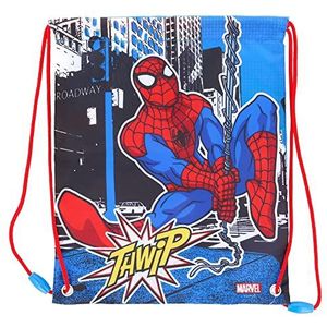 Spiderman - Marvel Rugzak voor kinderen en meisjes, touwtas voor kinderen, lunch