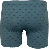 Set - Boxershort - Grijs - Microfiber - Aansluitende Pasvorm