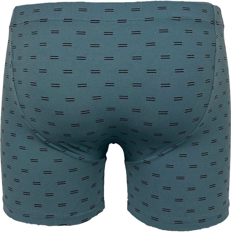 Set - Boxershort - Grijs - Microfiber - Aansluitende Pasvorm