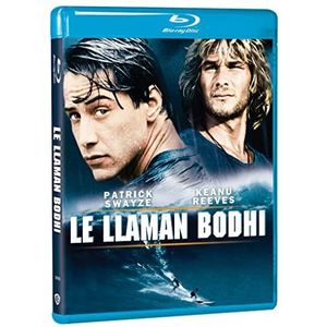 Le Llaman Bodhi BD