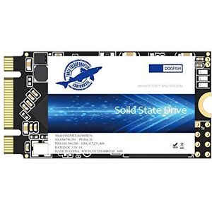 Dogfish SSD M.2 2242 240 GB Ngff Internal Solid State Drive High Performance Hard Drive voor Desktop Laptop SATA III 6 Gb/s incl. SSD 120 GB, 240 GB, 250 GB, 480 GB, 500 GB, 1 TB (M.2 2242, 240 GB)