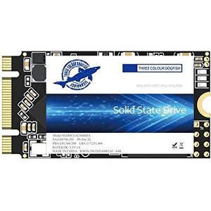 Dogfish SSD M.2 2242 250GB Ngff Desktop Computers inside Actuator Solid High Performance (250GB, M.2 2242)