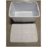 Plasticforte Opbergbox met deksel - Wit - 60L - kunststof - 63 x 46 x 32 cm
