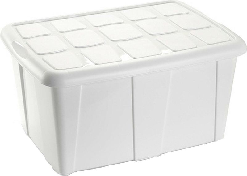 Plasticforte Opbergbox met deksel - Wit - 60L - kunststof - 63 x 46 x 32 cm