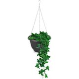 Plasticforte - Plantenpot - Antraciet - Hangend - Kunststof - D25 x H15 cm