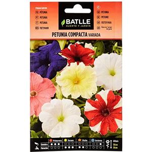 Batlle Petunia COMPACTE VARIEE
