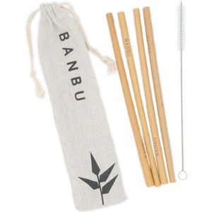 Rietjes - Bamboe - Herbruikbare Rietjes - Set van 4 - Inclusief Draagtas