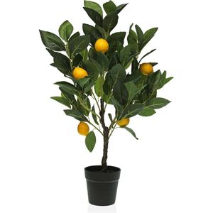 Decoratieve plant versa 15 x 65 x 15 cm plastic - meerkleurig 8420327527899