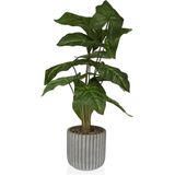 Decoratieve plant versa 15 x 53 x 15 cm plastic - meerkleurig 8420327527912