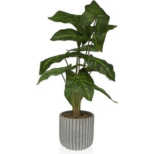 Decoratieve plant versa 15 x 53 x 15 cm plastic - meerkleurig 8420327527912