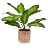 Decoratieve plant versa 15 x 48 x 15 cm plastic - meerkleurig 8420327527936
