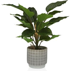 Decoratieve plant versa plastic cement 15 x 47 x 15 cm - meerkleurig 8420327527950