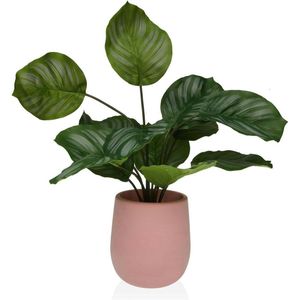 Decoratieve plant versa 15 x 44 x 15 plastic cement - meerkleurig 8420327527967