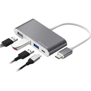 SilverHT 112001140199 interface hub USB 3.2 Gen 1 (3.1 Gen 1) Type-C Grijs