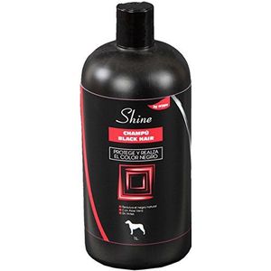 Arppe 2926019100 Shampoo Shine Black Hair, 1 l