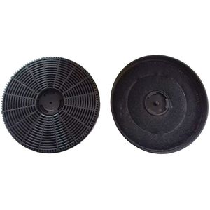 2x CATA Koolstoffilter GM BT4 DC / 02859318 (2st)