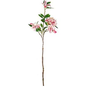 EUROCINSA Ref.41500C21 AZALEA BELGA ROSA, doos met 12 stuks, 70 cm