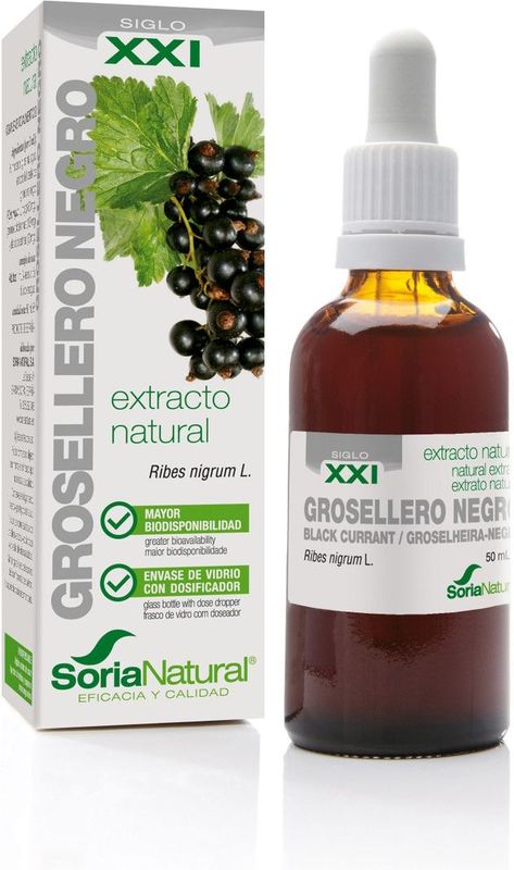 Soria Natural - Ribes Nigrum XXI - Kruidenpreparaat - Zwart - Gelyofiliseerd Extract