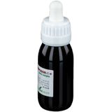 Voedingssupplement - Plantextracten - Ondersteuning Cognitieve Functie