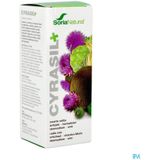 Cyrasil - Voedingssupplement - Natuurlijke Extracten - Zink