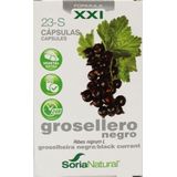 Soria 23-s Ribes Nigrum Xxi Caps 30