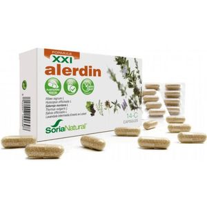 14-C Alerdin XXI