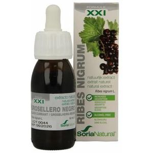 Soria Ribes Nigrum Xxi Extr.fl. 50 ml  -  Soria Bel