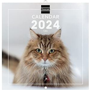 Finocam, 2024 muurkalender met afbeeldingen, voor kantoor, januari 2024-december 2024 (12 maanden), internationaal, katten.