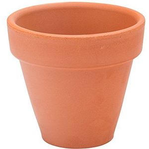 Utopia Estrella, M15060-00000-B01024, Estrella Pot 9,5 cm (Doos van 24)