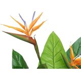 Dekorative Pflanze, Standard - Dkd Home Decor