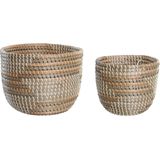 Basket spelset DKD Home Decor 28 x 28 x 22 cm Tropisch Zeegras