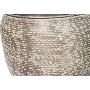 ESPRIT - Plantenbakkenset - Groen - Aluminium