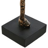 ESPRIT - Decoratieve Figuren - Zwart Donker Grijs - Hars Mangohout - Modern